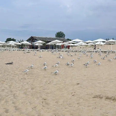 Sea 1 Apartment Sunny Beach